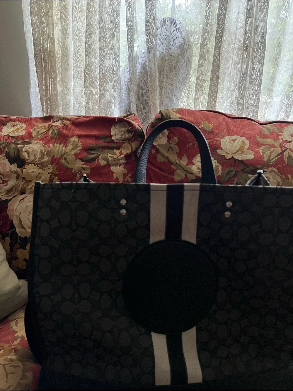 Coach Signature Canvas Tote with Black and gray Stripe